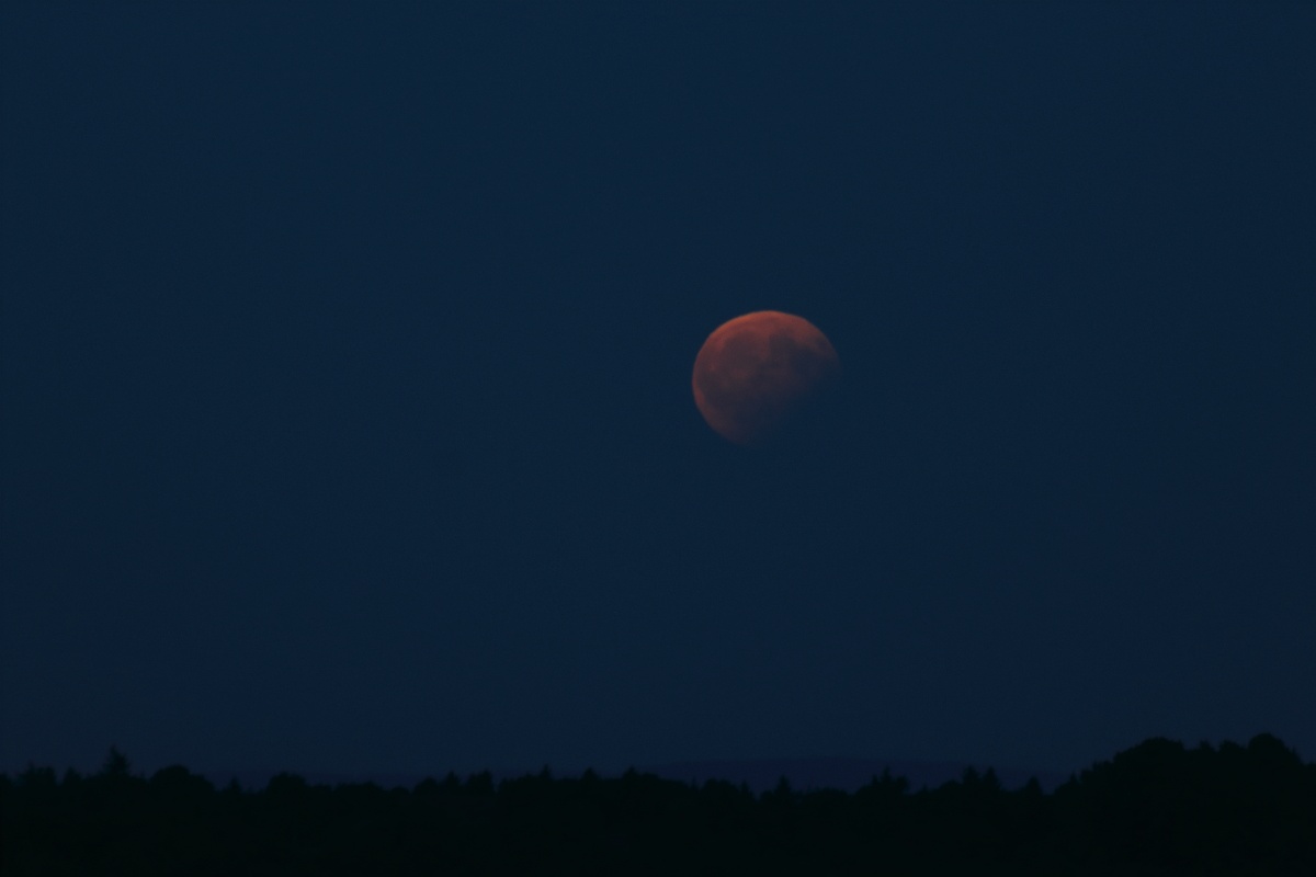 MoFi 20:58